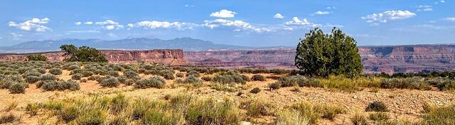 Southern Utah: A Land of Red Rock Wonders
