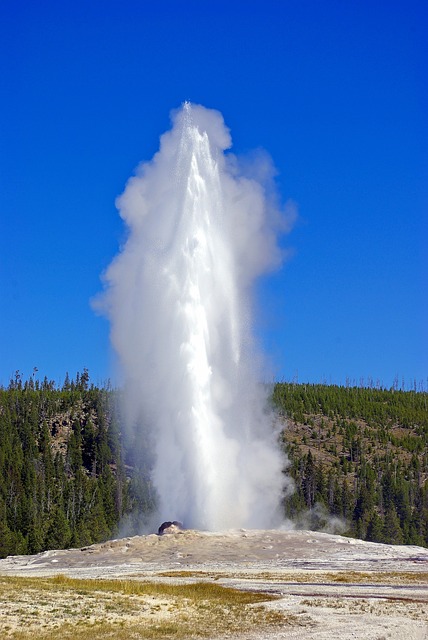 Yellowstone Old Faithful
