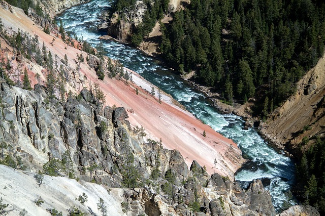 Discover the Wonders of Yellowstone National Park