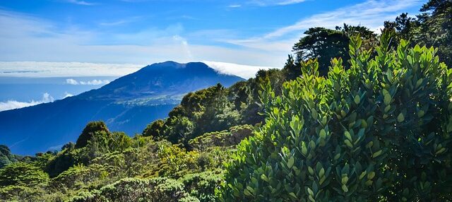 Pura Vida in Paradise: Exploring the Best of Costa Rica