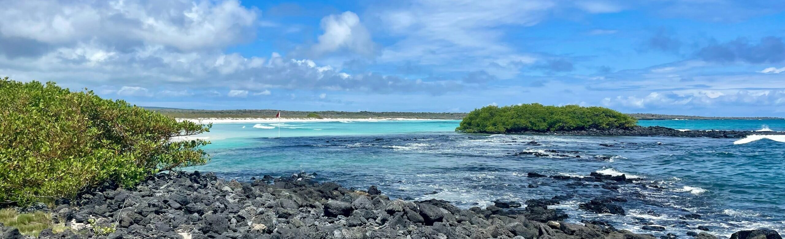 The Galápagos Islands: Ecuador’s Natural Wonder