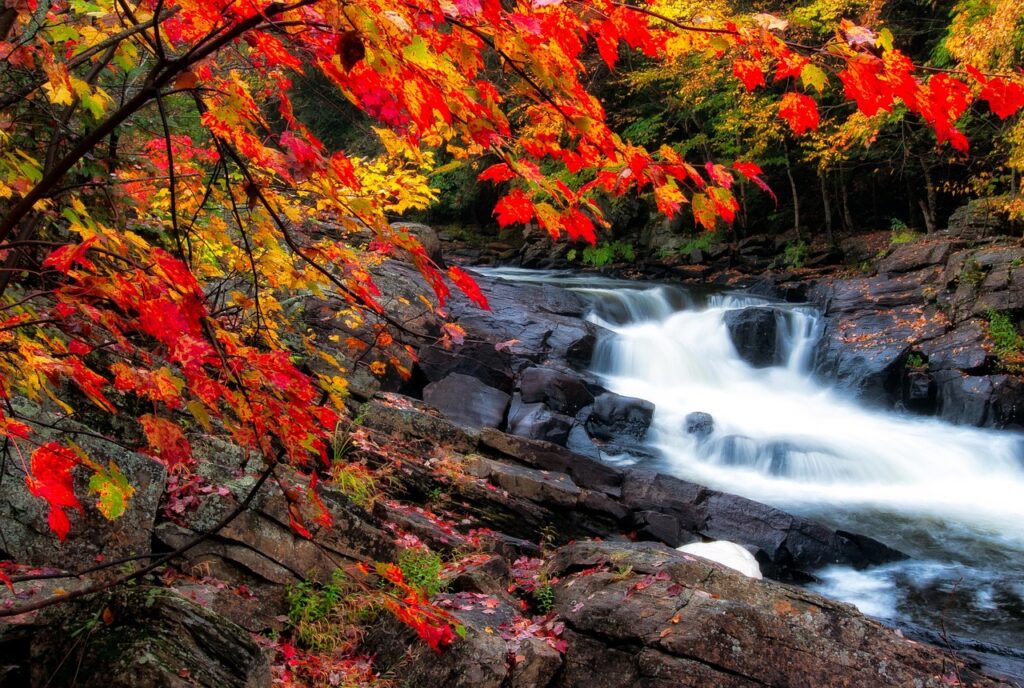 Fall Foliage Canada