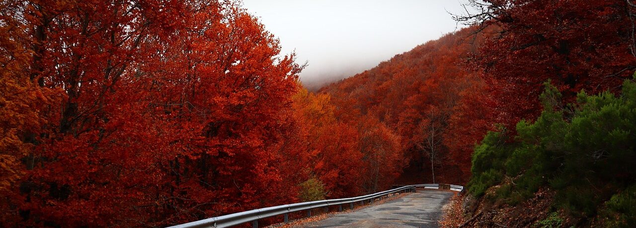 Chasing Autumn Colors: Fall Foliage Destinations Around the World