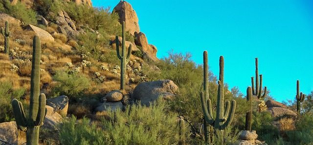 3 Days in Scottsdale Arizona – A Winter Desert Reset