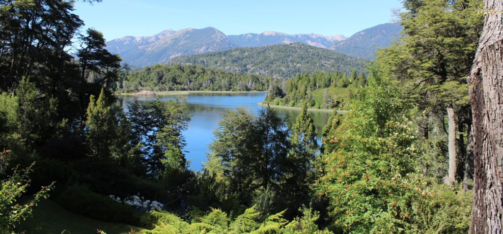 Patagonia